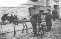  1900-1914 Le Ramasseur de Chiens Errants Toulouse 1904_new.jpg 